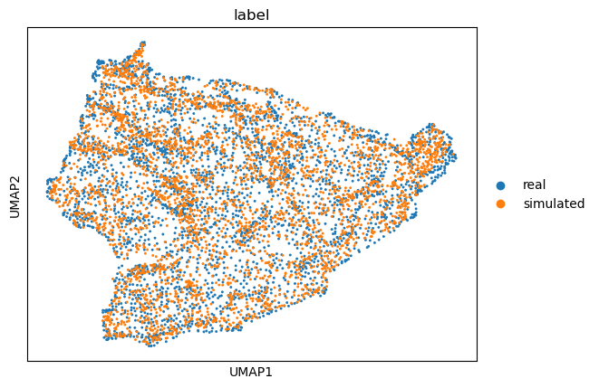 ../_images/tutorials_T1-DLPFC-single-slice_14_0.png