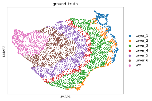 ../_images/tutorials_T1-DLPFC-single-slice_8_0.png