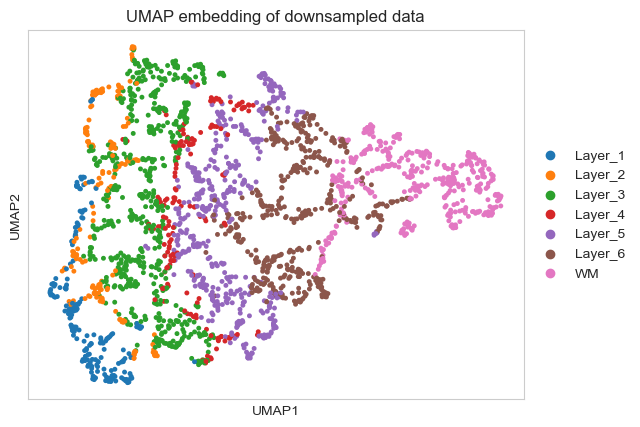 ../_images/tutorials_T2-imputation-and-super-resolution_19_0.png