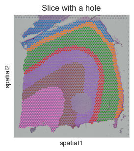 ../_images/tutorials_T2-imputation-and-super-resolution_5_1.png